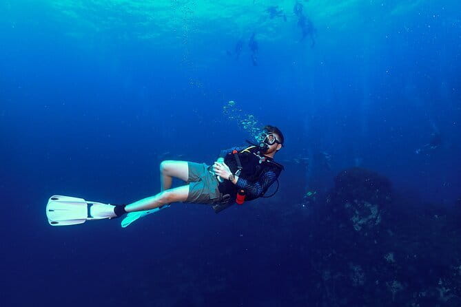 1 Day Discover Scuba Diving Experience in Koh Tao - Who should book this experience?