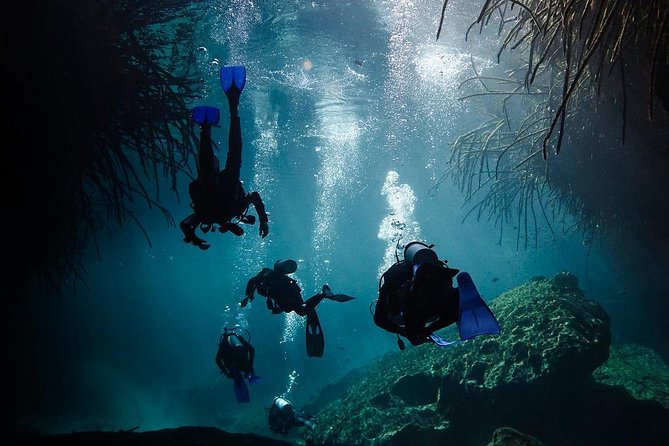 2 cenote divings (including one deep diving) for advanced divers in Tulum - Is $215 a fair price?
