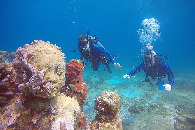 2 Days Class: SDI Open Water Diver Certification in Cancun - How the two-day SDI course works
