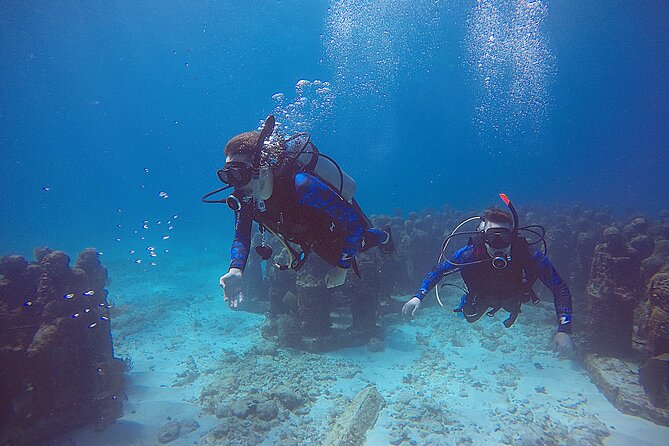 2 Days Class: SDI Open Water Diver Certification in Cancun - First afternoon: MUSA and the Caribbean reef