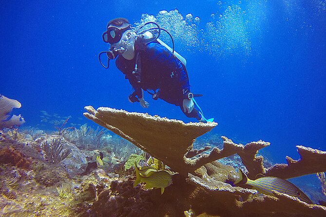2 Days Class: SDI Open Water Diver Certification in Cancun - The instructors and teaching style