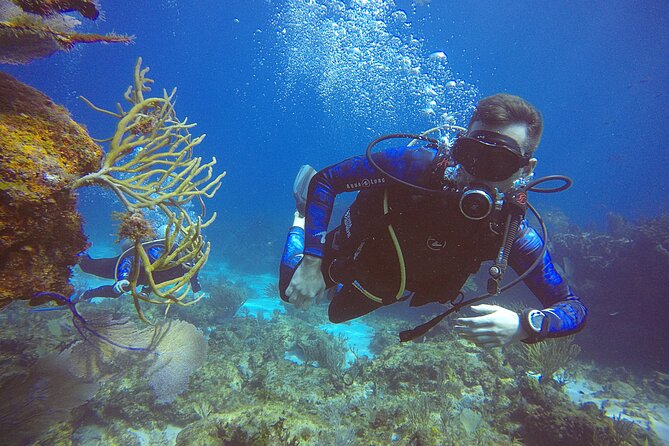 2 Days Class: SDI Open Water Diver Certification in Cancun - Health, safety, and practical preparation