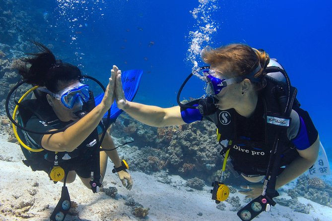 2-Dive adventure-Safe & Top-rated boat for Certified Divers - 8 am pickup and a calm start at the marina