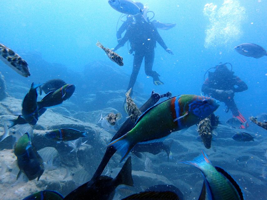 2-Dive Guided Scuba Diving For Qualified Divers - What to bring and what to sort out first