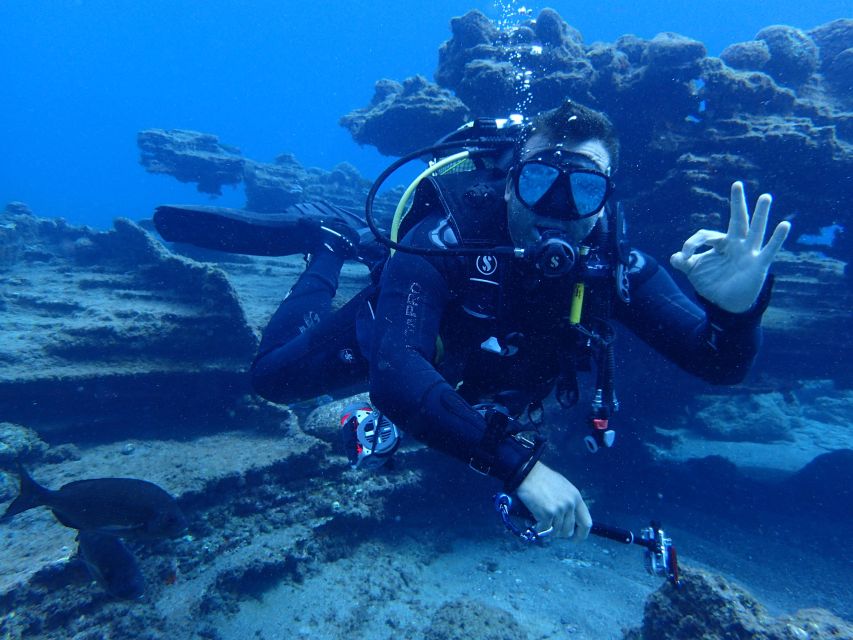 2-Dive Guided Scuba Diving For Qualified Divers - Why Tenerife’s volcanic seabed makes this outing interesting