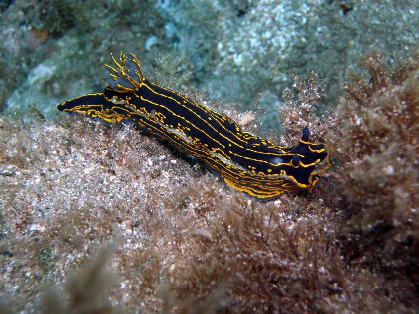 2-Dive Guided Scuba Diving For Qualified Divers - How the six-hour schedule works