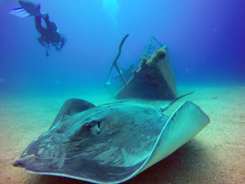 2-Dive Guided Scuba Diving For Qualified Divers - The real cost of the $97 price