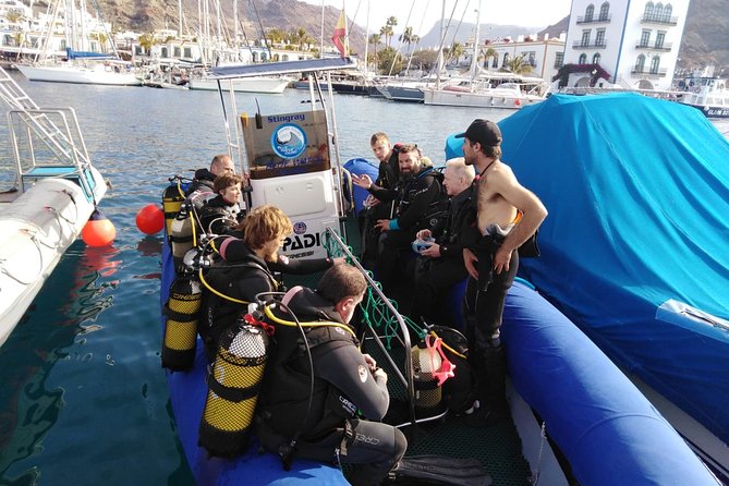 2 Dive Package for PADI Qualified Divers in Gran Canaria - Marine life, reefs, and wrecks at 16 to 18 meters