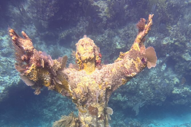 2 Dive Scuba Diving Reef Excursion to Key Largo Marine Sanctuary - The surface interval and second site