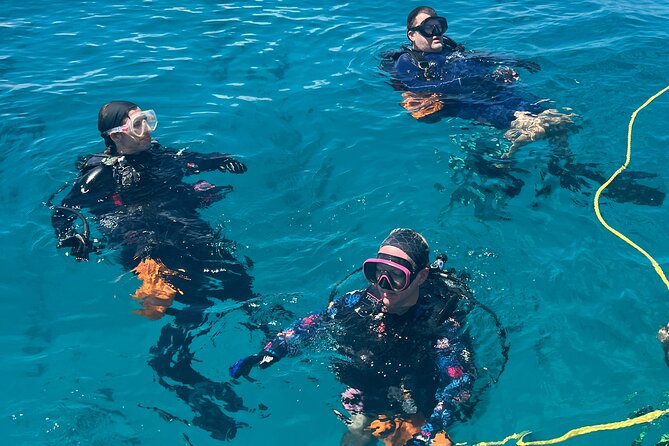 2 Dive Scuba Diving Reef Excursion to Key Largo Marine Sanctuary - Price and practical value at $99