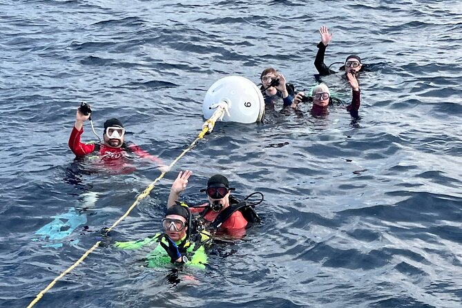 2 Dive Scuba Diving Reef Excursion to Key Largo Marine Sanctuary - Booking, weather, and cancellation