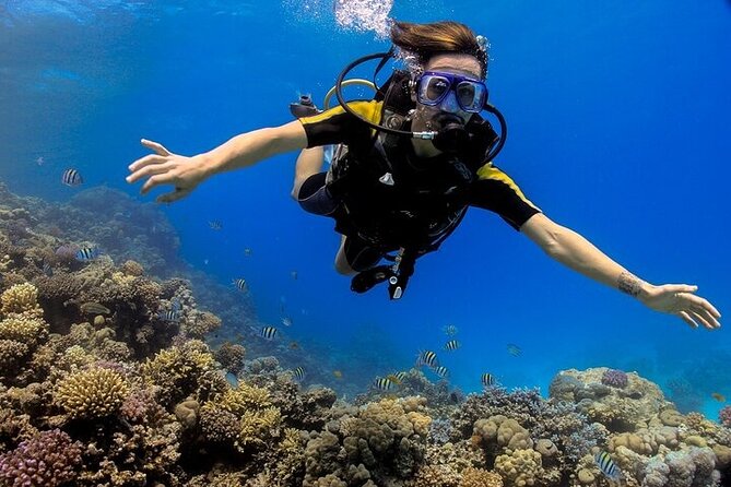 2 Dive Stops Intro Scuba Diving With Lunch & Transfer - Hurghada - Two underwater sessions from Hurghada Marina