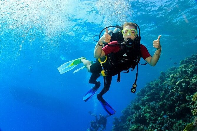 2 Dive Stops Intro Scuba Diving With Lunch & Transfer - Hurghada - Lunch, drinks, and time between sessions