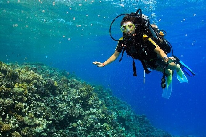 2 Dive Stops Intro Scuba Diving With Lunch & Transfer - Hurghada - The boat day, from pickup to return