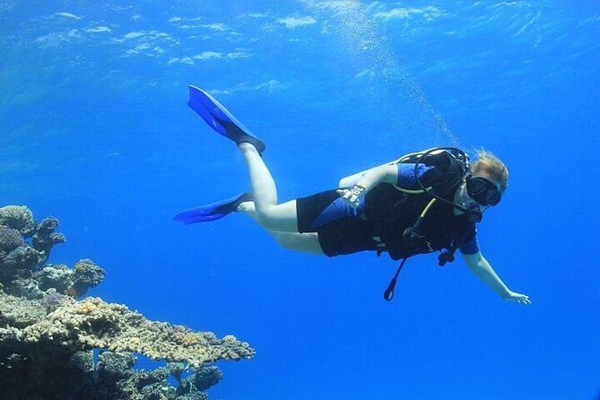 2 Dive Stops Intro Scuba Diving With Lunch & Transfer - Hurghada - Practical comfort and safety points