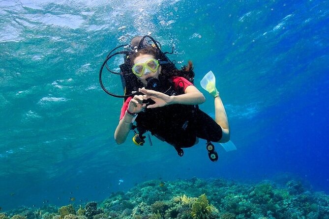 2 Dive Stops Intro Scuba Diving With Lunch & Transfer - Hurghada - Who should book this Hurghada outing