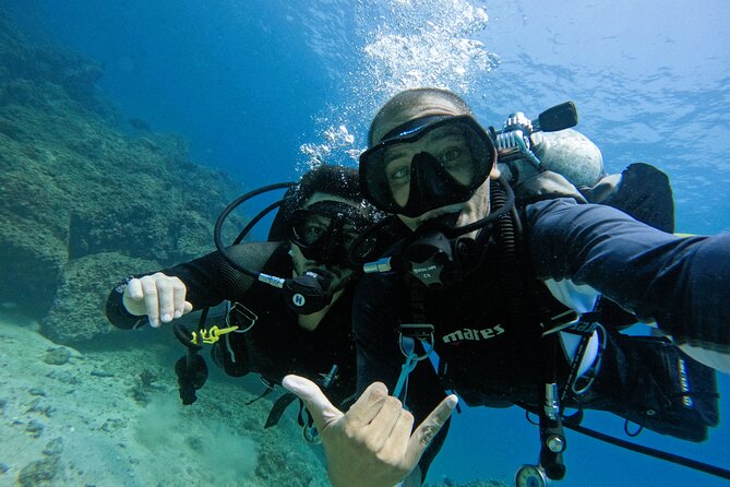 2 Dives for Certified Divers in Fujairah with lunch & transfer - Who should book this Fujairah outing?