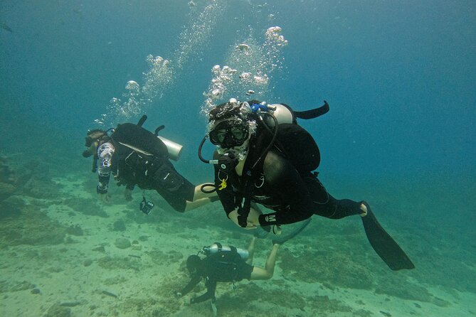 2 Dives for Certified Divers in Fujairah with lunch & transfer - What the two underwater sessions are like