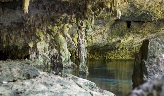 2 dives in Cenote Dos ojos Certified Divers - Why Dos Ojos makes this more than a routine pool session