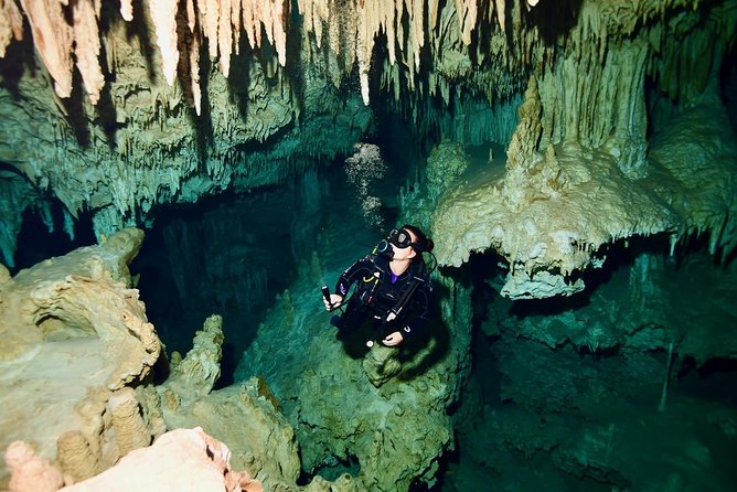 2 dives in Cenote Dos ojos Certified Divers - The first underwater session at Dos Ojos