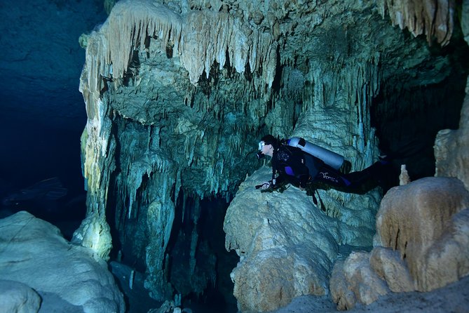 2 dives in Cenote Dos ojos Certified Divers - What the small group changes