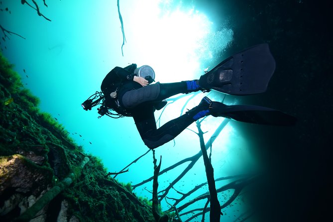 2 dives in Cenote Dos ojos Certified Divers - Price, inclusions, and what you really receive