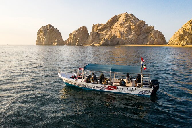 2 Dives in the Cabo Marine Park - Pelican Rock and marine life