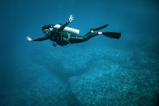 2 Dives in the morning for certified divers in Bora Bora - How the guides handle mixed experience levels
