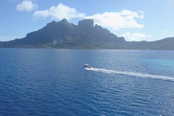 2 Dives in the morning for certified divers in Bora Bora - Is $235.69 a fair price?