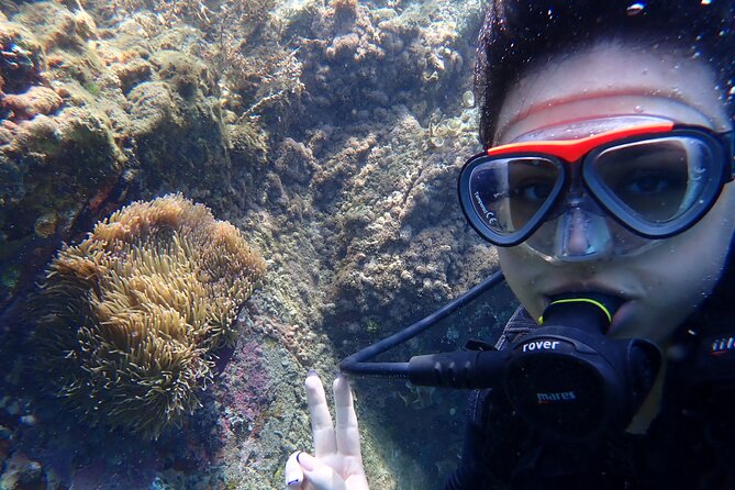 2 Fun Dives for certified Divers - Food, swimming, and the return to Nha Trang