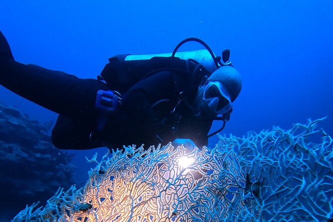 2 Hour Private Night Diving in the Red Sea of Aqaba - How the included equipment affects the price