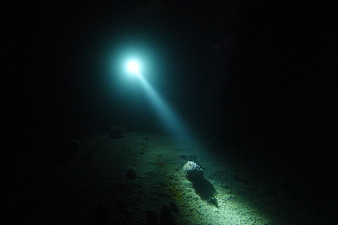 2 Hour Private Night Diving in the Red Sea of Aqaba - Who should book this Aqaba outing