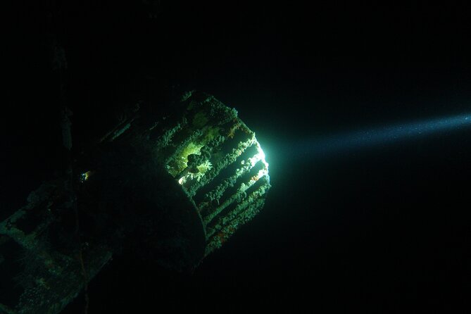2 Hour Private Night Diving in the Red Sea of Aqaba - Should you book the Red Sea night session?