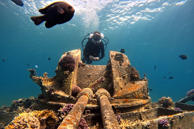 2-Hour Private Scuba Experience in Aqaba - What the $45 price really covers