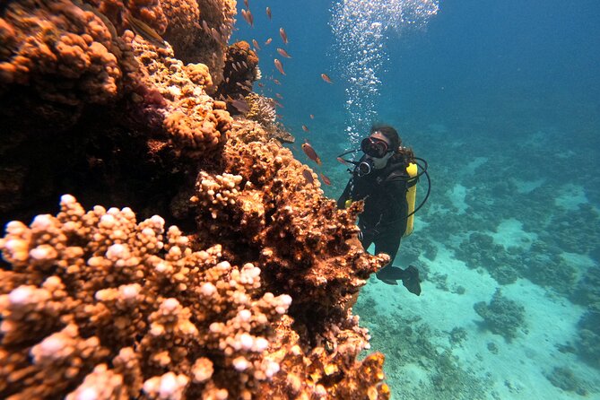 2-Hour Private Scuba Experience in Aqaba - Timing, weather, and cancellation details