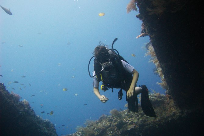 2 PADI Certified Dives at Tulamben from Bali - Timing, transport, and the return trip