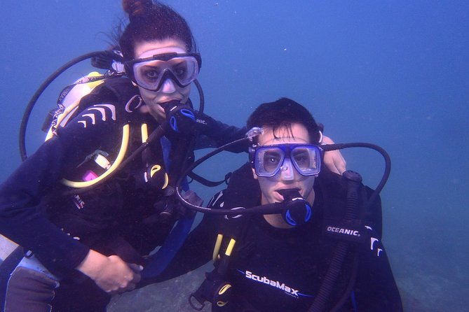2 Tank Boat Dives for Certified Divers - Roqueta Island, the harbor, and the Quebrada