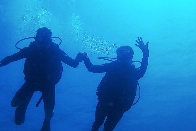 2 Tank Dive (for certified divers) - The Meso-American Barrier Reef off Costa Maya