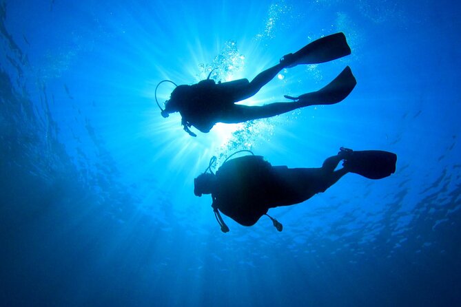 2 Tank Dive (for certified divers) - Is $95 a fair price?