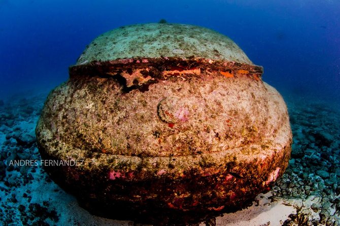 2 Tank Dives MUSA and Manchones reef (Certified divers) - What happens at MUSA