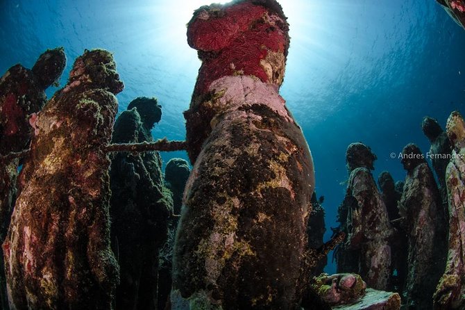 2 Tank Dives MUSA and Manchones reef (Certified divers) - What is included, and what costs extra