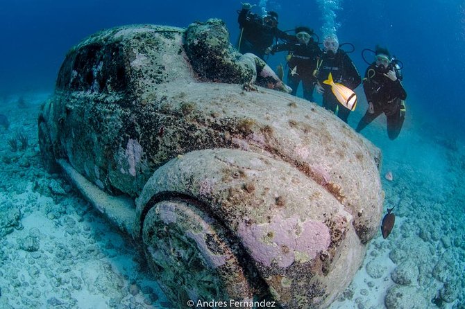 2 Tank Dives MUSA and Manchones reef (Certified divers) - Timing matters more than the four-hour label