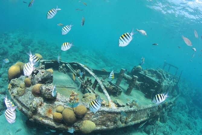 2 Tank Guided Dive half-day - Who Should Book This Underwater Morning