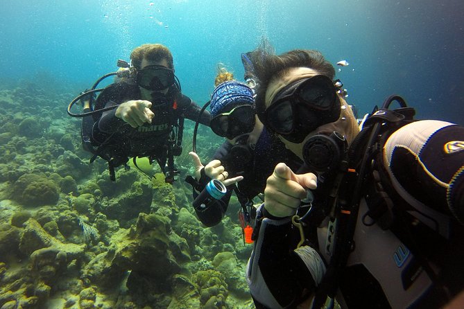 2 tank guided dive House Reef (Pierbaai Reef and Car Pile) - Why these two shore sites work so well