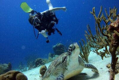2 tank guided dive House Reef (Pierbaai Reef and Car Pile)