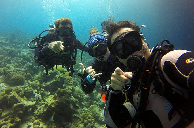 2 tank guided dive House Reef (Pierbaai Reef and Car Pile) - The small group is a real advantage