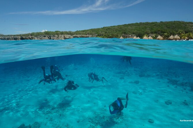 2 tank guided dive House Reef (Pierbaai Reef and Car Pile) - The provider’s strong record and practical flexibility