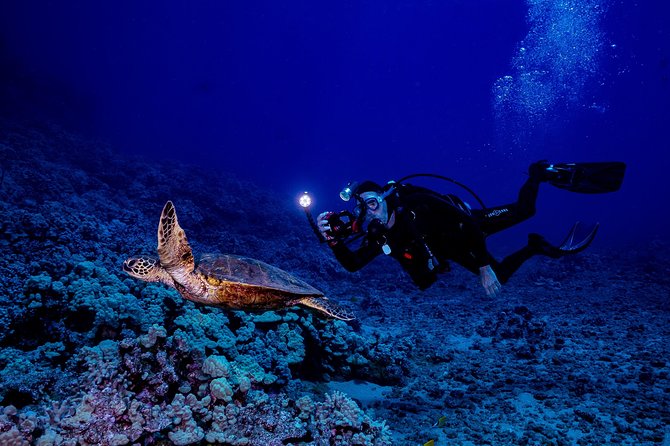 2 Tank Lanai Cathedral Scuba Dive Via Boat for Certified Divers - The surface interval and return to Maui