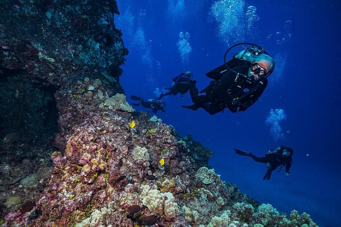 2 Tank Lanai Cathedral Scuba Dive Via Boat for Certified Divers - Is $306.89 a fair price?