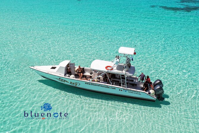 2 Tank Morning Dive: Scuba Diving in Cozumel - Key points about this Cozumel reef outing